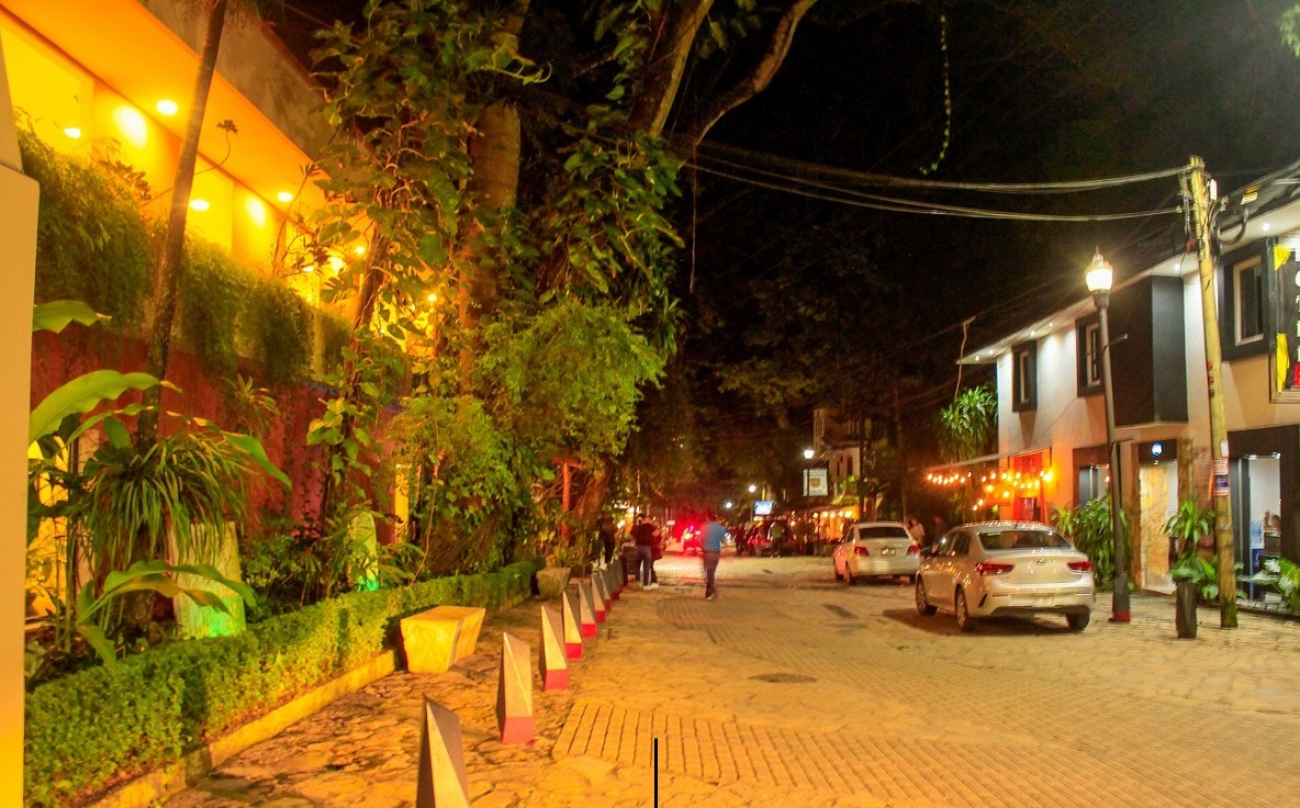 MAYA TULIPANES EXPRESS